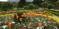 Christian Group to Turn Former Abortion Clinic into Memorial Garden